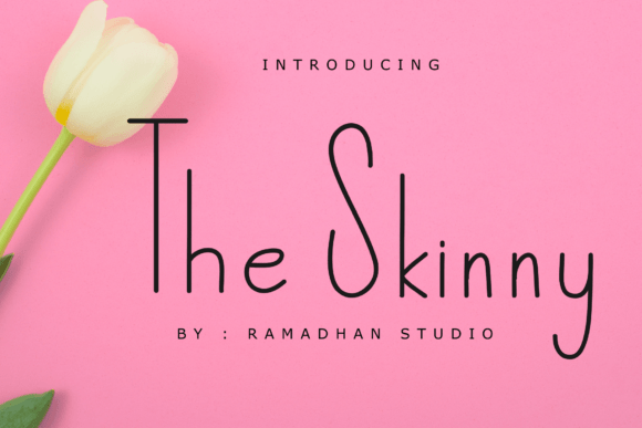 The Skinny: A Minimal Handwritten Font for Web Design